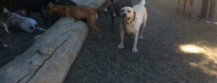 Joaquin Miller Dog Park is one of Malone.