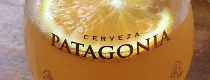 Patagonia Brewing Co. is one of Cervecería Artesanal.