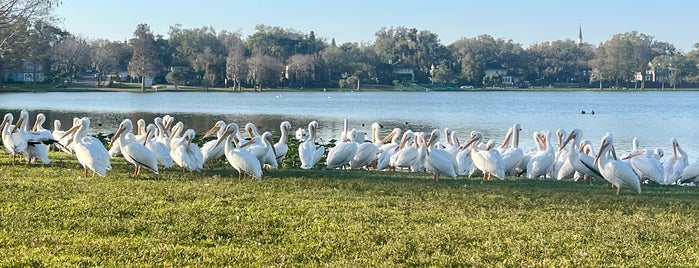 City of Lakeland is one of Lake Hollingsworth.