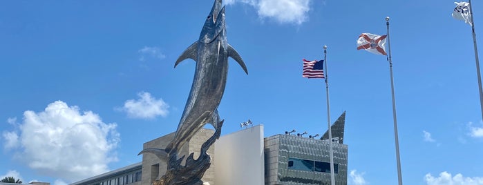 IGFA Fishing Hall of Fame & Museum is one of Things to See.