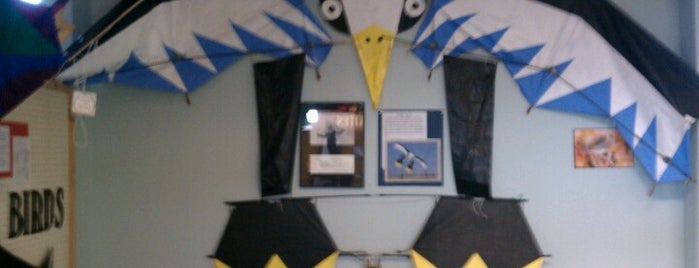 World Kite Museum is one of WA Coast Things- To- Do..