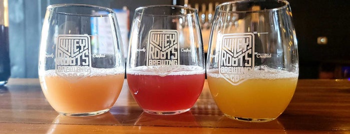 Wiley Roots Brewery is one of Locais curtidos por Diane.