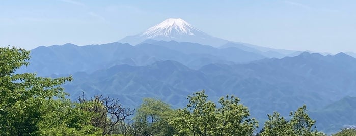 Mt. Jimba is one of 神奈川.