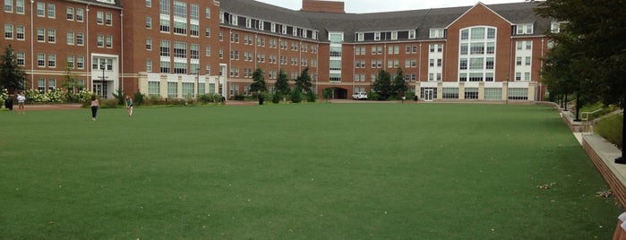 Independence Turf is one of UD Buildings.