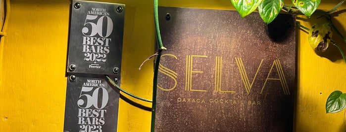 Selva Cocktail Bar is one of Mex-OAXACA.