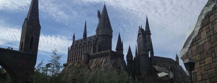 The Wizarding World of Harry Potter - Hogsmeade is one of /a dream is a wish your heart makes. ♡.