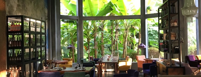 Руставели сочи ресторан