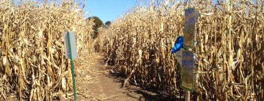 Connors Farm Corn Maze is one of M2.