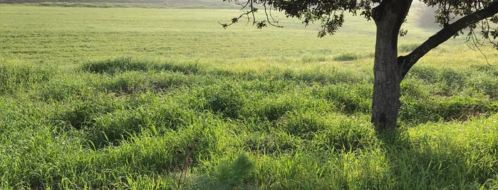 Alayköy Mandıraları is one of Lieux qui ont plu à Sadık.