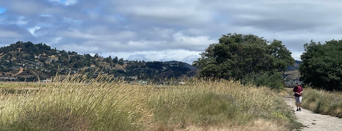 Corte Madera Marsh Ecological Preserve is one of Arthur's places to visit.