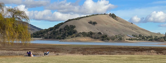 Stafford Lake Park is one of Novato.