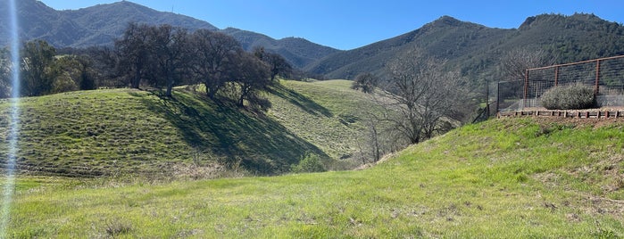 Mt Diablo Trailhead Regency Dr is one of 650.