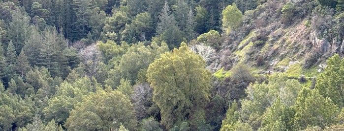 Baltimore Canyon Open Space Preserve is one of 🇺🇸 Marin and North Bay.