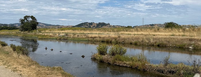 Corte Madera Marsh Ecological Preserve is one of CBS Sunday Morning.