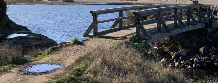 Abbotts Lagoon Trail Pt Reyes is one of Locais curtidos por Jeff.