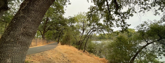 Sacramento River Trail - Turtle Bay East Connector is one of Next.