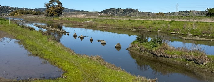 Corte Madera Creek Path is one of Favorite Marin Trails.