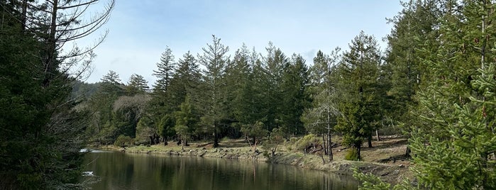 Bon Tempe Lake is one of Lugares favoritos de Soni.