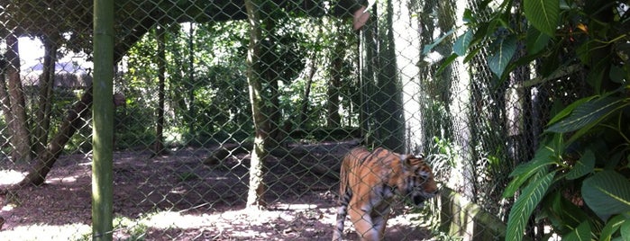 Zoo Safari is one of Locais.