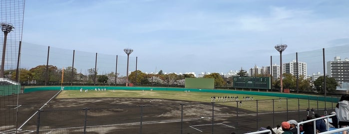 俣野公園・横浜薬大スタジアム is one of 野球場.
