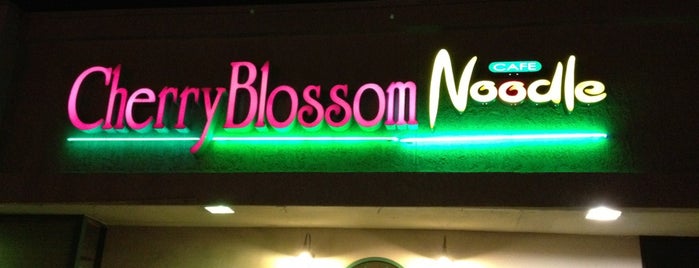 Cherryblossom Noodle Cafe is one of best places must try.