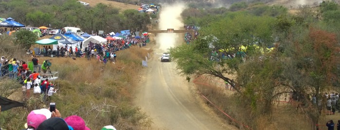 WRC SS21 El Brinco is one of Miguel Angel 님이 좋아한 장소.