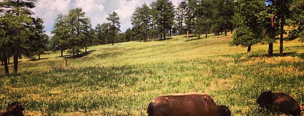 Buffalo Herd is one of Locais curtidos por Kit.