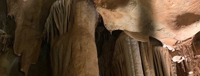 Taşkuyu Mağarası is one of Tempat yang Disukai Gokkus.