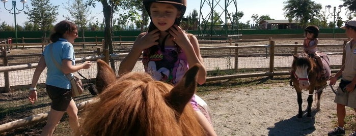 Zoo Safari Le dune del Delta is one of Favorite Great Outdoors.