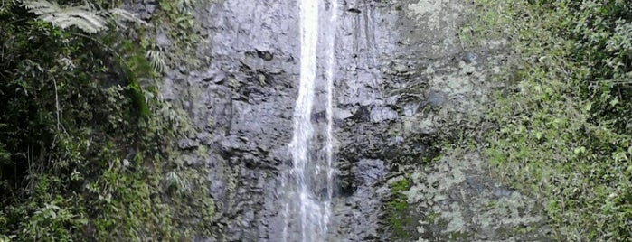 Mānoa Falls is one of Hawaii 2014.