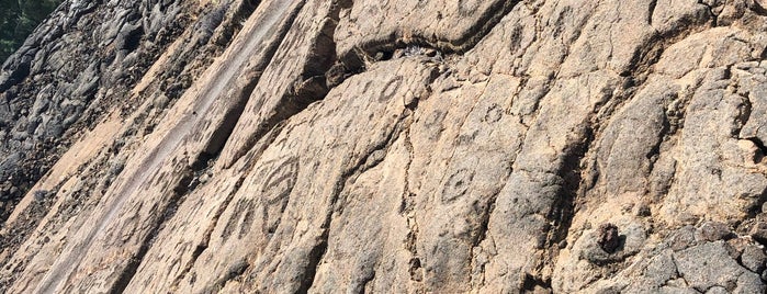 Waikoloa Petroglyph Preserve is one of Adam'ın Beğendiği Mekanlar.