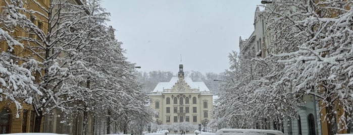 Lyčkovo náměstí is one of Carolina 님이 좋아한 장소.