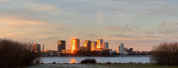 Amager is one of Denmark 🇩🇰.