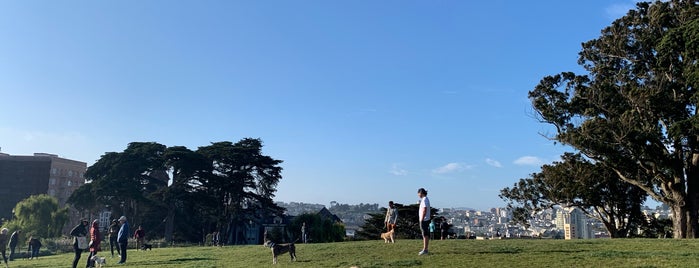 Alamo Square Dog Park is one of Dog Friendly SF.