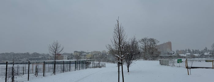 TJ Tempo Praha is one of Softball - CZE Stadium.