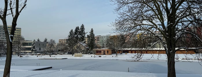 Koupaliště Lhotka is one of Cabrio Výlety z Prahy.