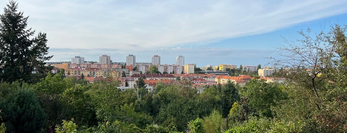 Střešovice is one of Pražské čtvrti.