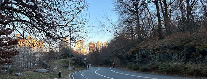 Central Park - West Drive is one of Guide to New York's best spots.