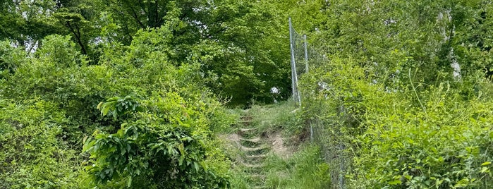 Židovské pece is one of Best sport places in Czech Republic.