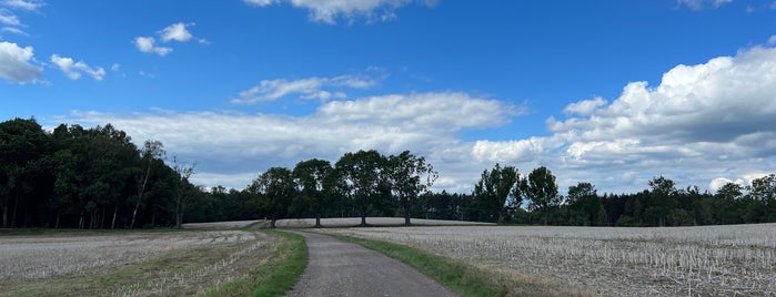 Červený Kostelec is one of Favorite Great Outdoors.