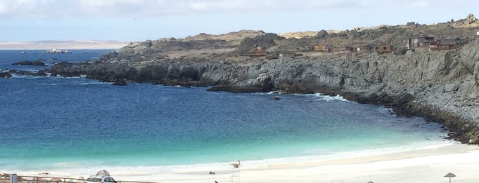 Playa La Virgen is one of สถานที่ที่ Loredana ถูกใจ.