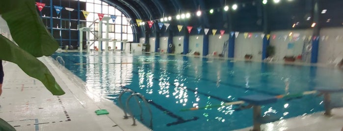 Sharif University Swimming Pool | استخر دانشگاه صنعتی شریف is one of สถานที่ที่บันทึกไว้ของ Hourie.