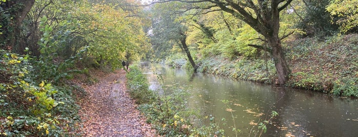 Basingstoke Navigation Canal is one of London with JetSetCD.