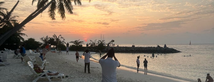 Arena Beach Hotel is one of Maldive.