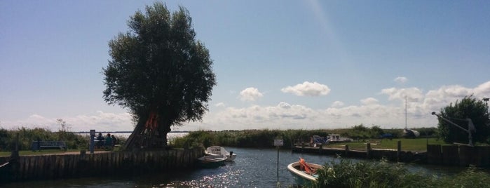 Zempin Hafen Achterwasser is one of สถานที่ที่ Thilo ถูกใจ.