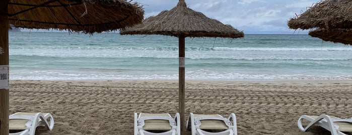 Playa de Can Picafort is one of Mallorca.