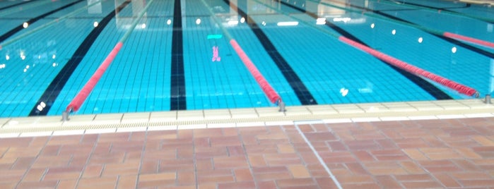 Piscine de Neder-Over-Heembeek / Zwembad van Neder-Over-Heembeek is one of Brussels's swimming pool.
