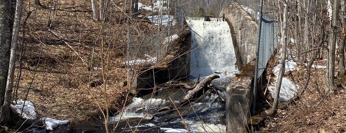 Hungarian Falls is one of Michigan.