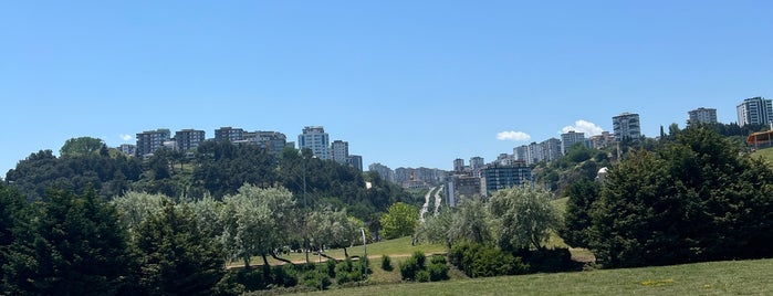 Batı Park is one of Samsun.