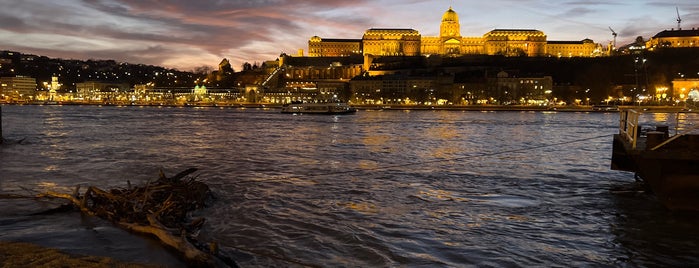 Danubio is one of Lugares favoritos de Alyssa.